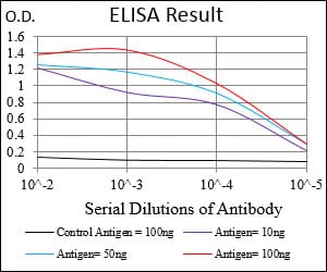 Mouse Monoclonal Antibody to B3GALT4