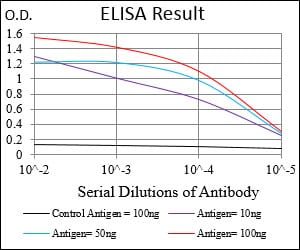 Mouse Monoclonal Antibody to SMCP