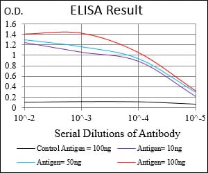 Mouse Monoclonal Antibody to MB