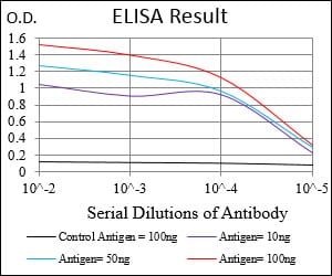 Mouse Monoclonal Antibody to PPP1CB