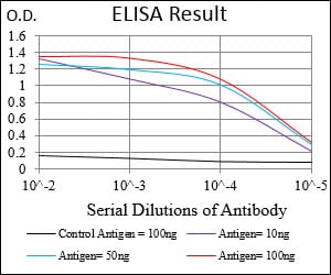 Mouse Monoclonal Antibody to SDC1