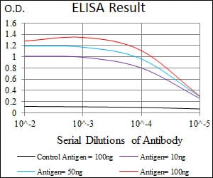 Mouse Monoclonal Antibody to PRKCG