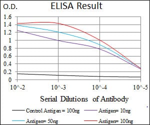 Mouse Monoclonal Antibody to TUBE1