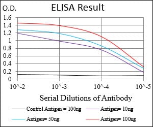 Mouse Monoclonal Antibody to MEN1