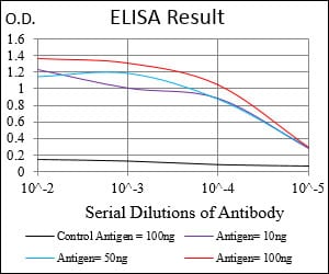 Mouse Monoclonal Antibody to FTL