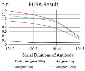 Mouse Monoclonal Antibody to CCNE1