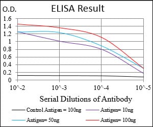 Mouse Monoclonal Antibody to TUBE1