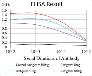 Mouse Monoclonal Antibody to FTL