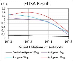Mouse Monoclonal Antibody to RAB27A
