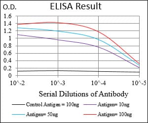 Mouse Monoclonal Antibody to RHOF