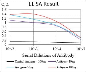 Mouse Monoclonal Antibody to RANGAP1