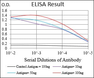 Mouse Monoclonal Antibody to CSNK2B