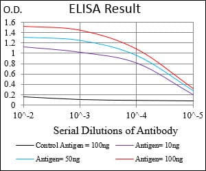 Mouse Monoclonal Antibody to RPS6KA2