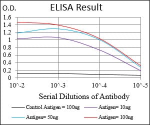 Mouse Monoclonal Antibody to RBL2
