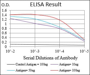 Mouse Monoclonal Antibody to GSK3B