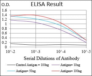 Mouse Monoclonal Antibody to MuRF1