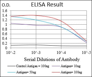 Mouse Monoclonal Antibody to PDK2