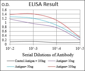 Mouse Monoclonal Antibody to WT1