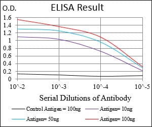 Mouse Monoclonal Antibody to PKN1