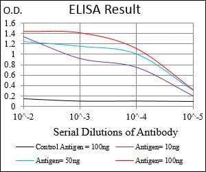Mouse Monoclonal Antibody to CSNK2B