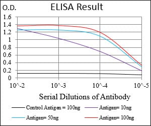 Mouse Monoclonal Antibody to Stat5