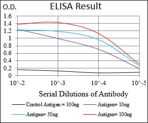 Mouse Monoclonal Antibody to HDAC10