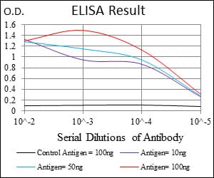 Mouse Monoclonal Antibody to CD38