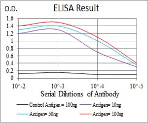 Rat Monoclonal Antibody to PKHD1