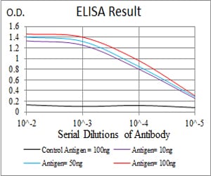Mouse Monoclonal Antibody to JAK2