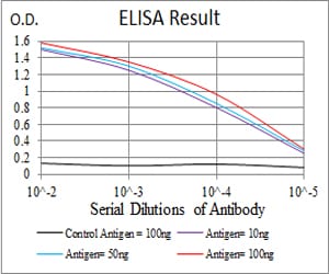 Mouse Monoclonal Antibody to GAB1