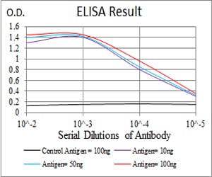 Mouse Monoclonal Antibody to MDM2