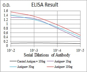 Mouse Monoclonal Antibody to NOX4