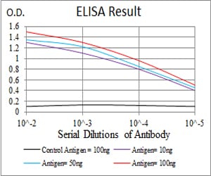 Mouse Monoclonal Antibody to CASP3