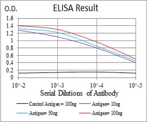 Mouse Monoclonal Antibody to VAV2