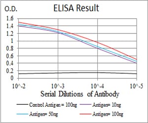 Mouse Monoclonal Antibody to WTAP