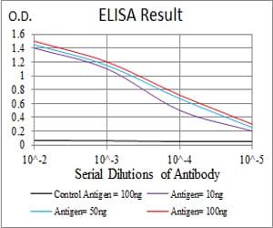 Mouse Monoclonal Antibody to CASP3