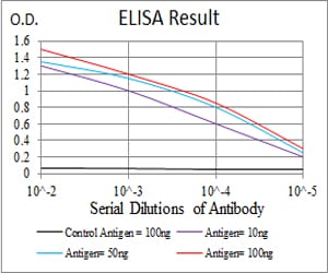 Mouse Monoclonal Antibody to TIP60
