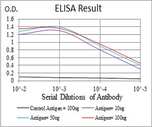 Mouse Monoclonal Antibody to KCND2