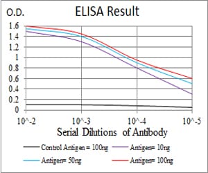 Mouse Monoclonal Antibody to MAP3K7