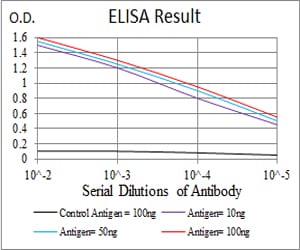 Mouse Monoclonal Antibody to TIP60