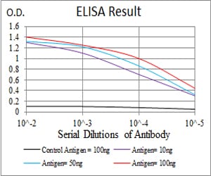 Mouse Monoclonal Antibody to KCND2