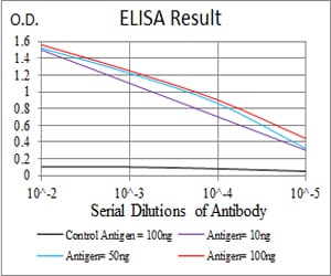 Mouse Monoclonal Antibody to ATG5