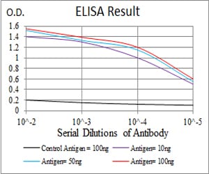 Mouse Monoclonal Antibody to ERCC1
