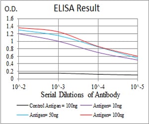 Mouse Monoclonal Antibody to HSPB2