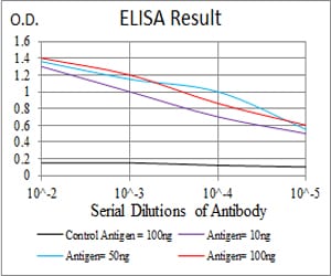 Mouse Monoclonal Antibody to TTR