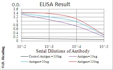 Mouse Monoclonal Antibody to WTAP