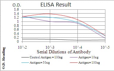 Mouse Monoclonal Antibody to TFAP2A