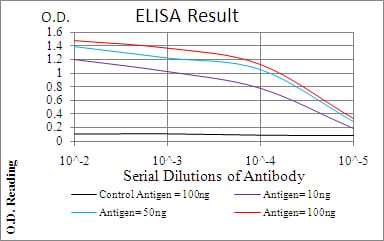 Mouse Monoclonal Antibody to CALB2