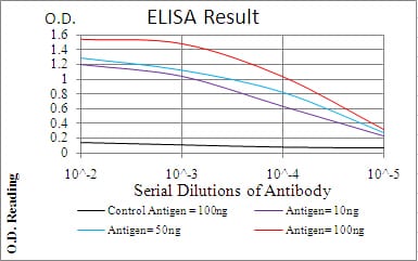 Mouse Monoclonal Antibody to P2RY13