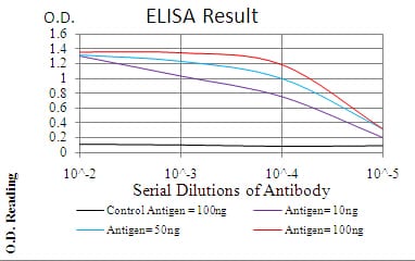 Mouse Monoclonal Antibody to CBX1